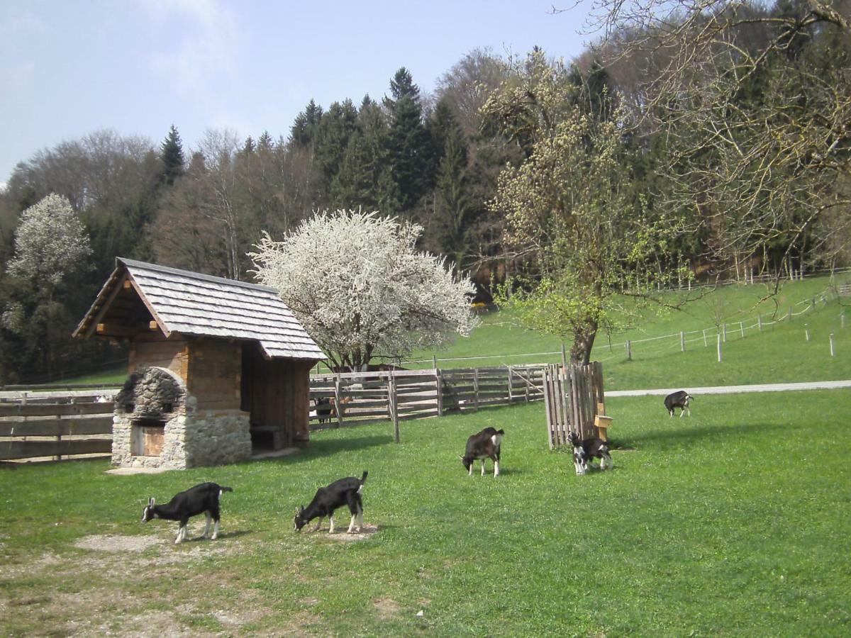 Bauernhof Kaspergut Villa Kirchberg bei Mattighofen Buitenkant foto
